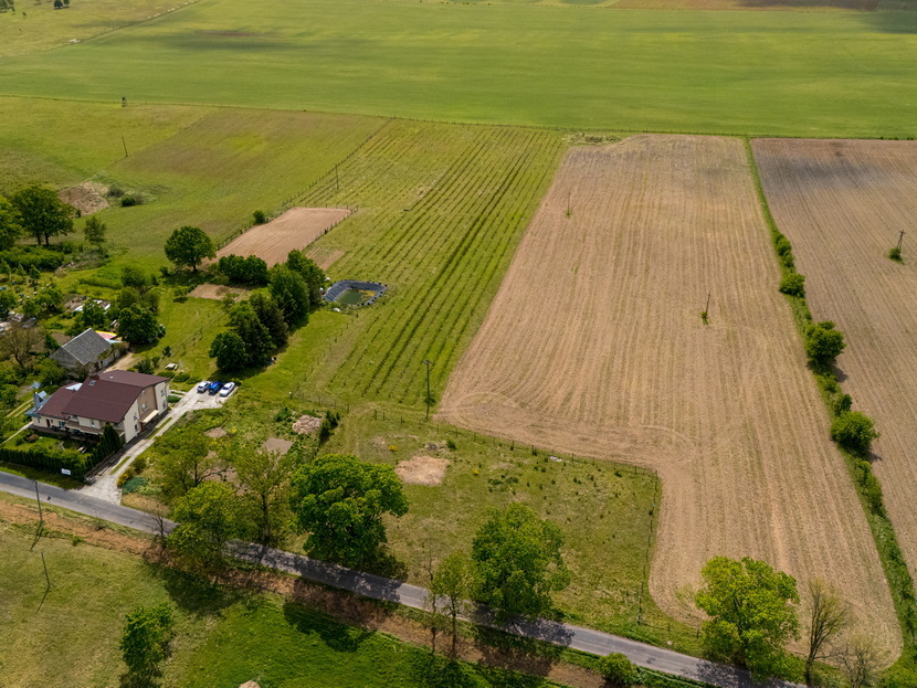 Dom na sprzedaż Storkowo 380 m2 | Arka Nieruchomości