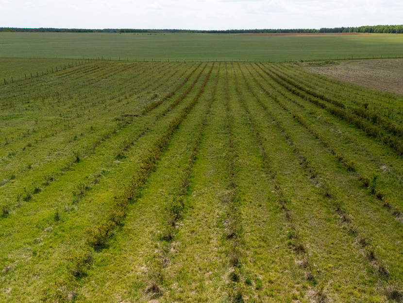 Dom na sprzedaż Storkowo 380 m2 | Arka Nieruchomości