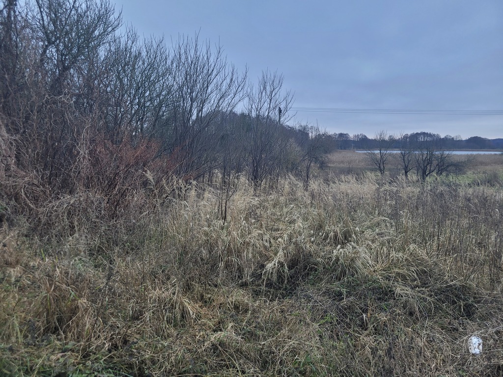 Działka na sprzedaż Bobrowo 1 831 m2 | Arka Nieruchomości