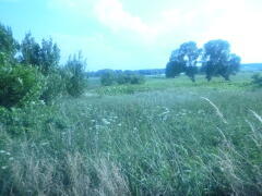 Działka na sprzedaż Bobrowo 1 831 m2 | Arka Nieruchomości