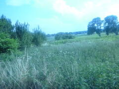 Działka na sprzedaż Bobrowo 1 831 m2 | Arka Nieruchomości