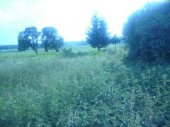 Działka na sprzedaż Bobrowo 1 831 m2 | Arka Nieruchomości