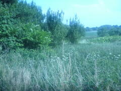 Działka na sprzedaż Bobrowo 1 831 m2 | Arka Nieruchomości