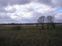 Działka na sprzedaż Bobrowo 1 831 m2 | Arka Nieruchomości