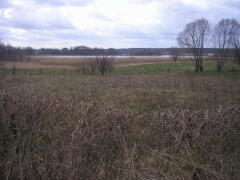 Działka na sprzedaż Bobrowo 1 831 m2 | Arka Nieruchomości