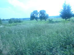 Działka na sprzedaż Bobrowo 1 831 m2 | Arka Nieruchomości