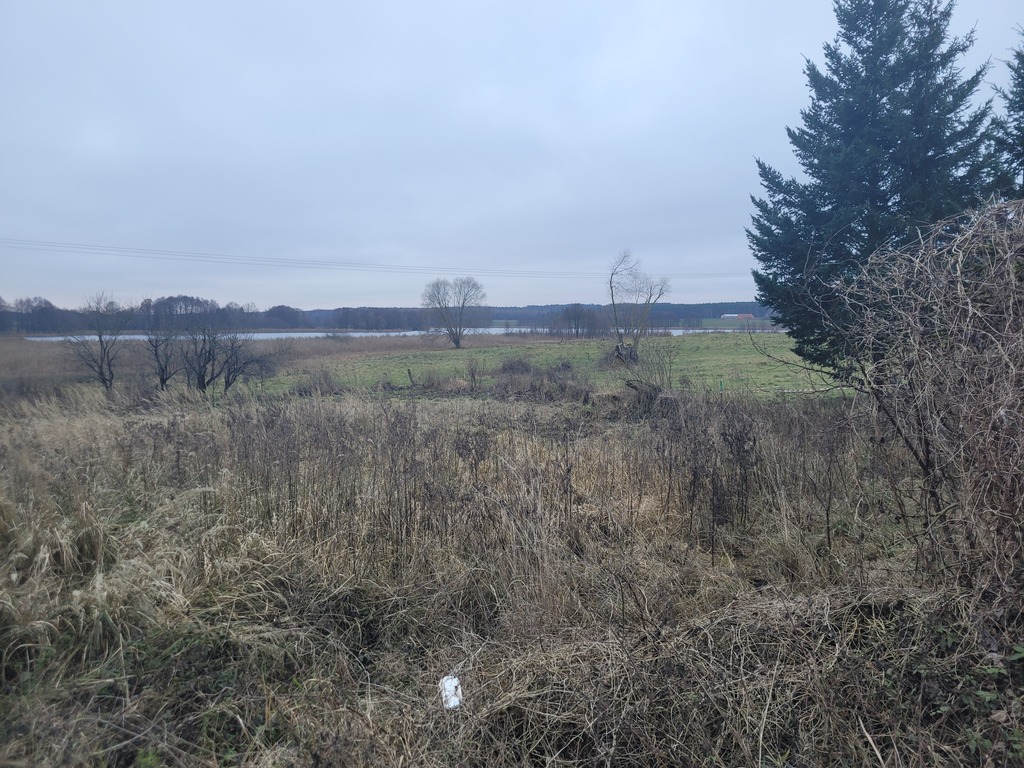 Działka na sprzedaż Bobrowo 1 831 m2 | Arka Nieruchomości