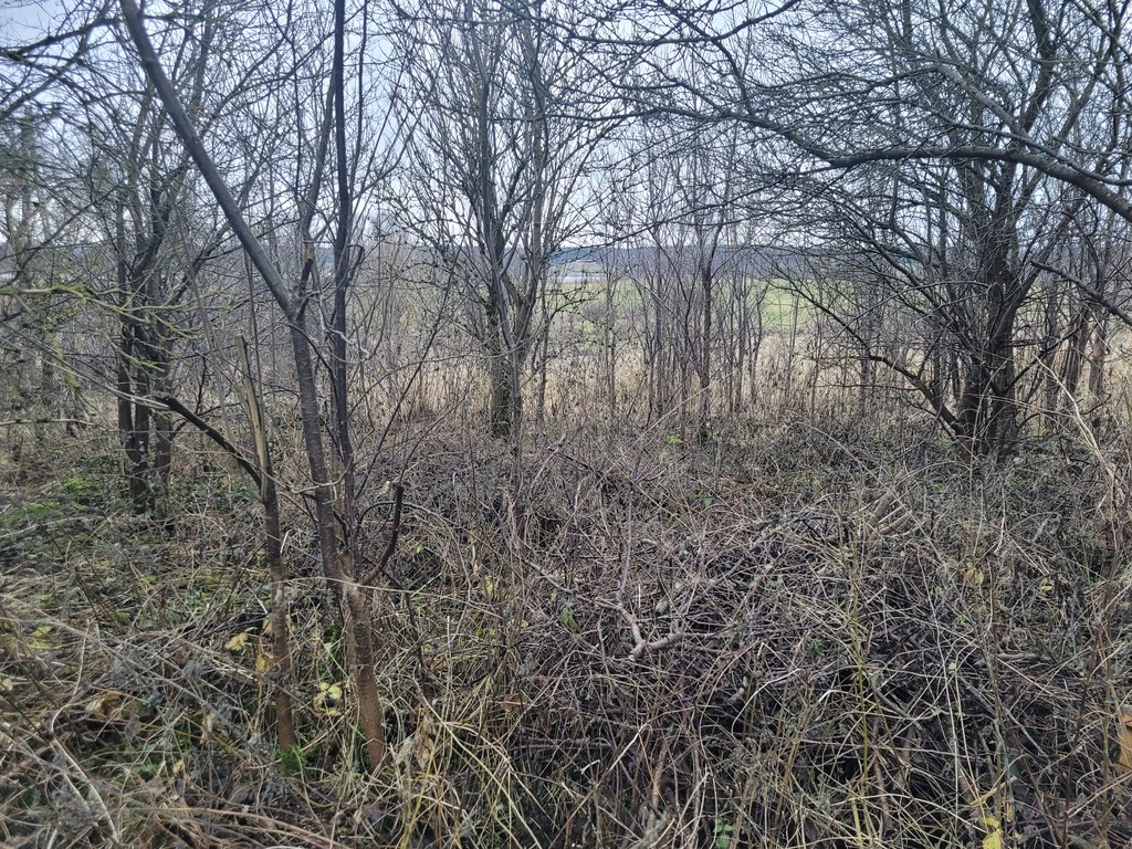 Działka na sprzedaż Bobrowo 1 831 m2 | Arka Nieruchomości