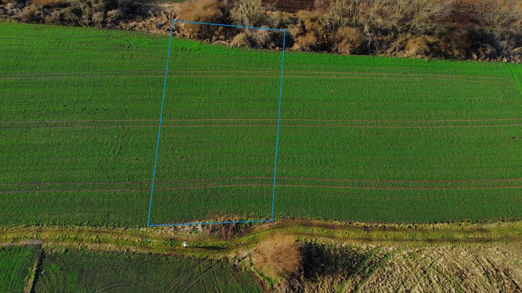 Rogóżno – działka pod zabudowę 1200 m²