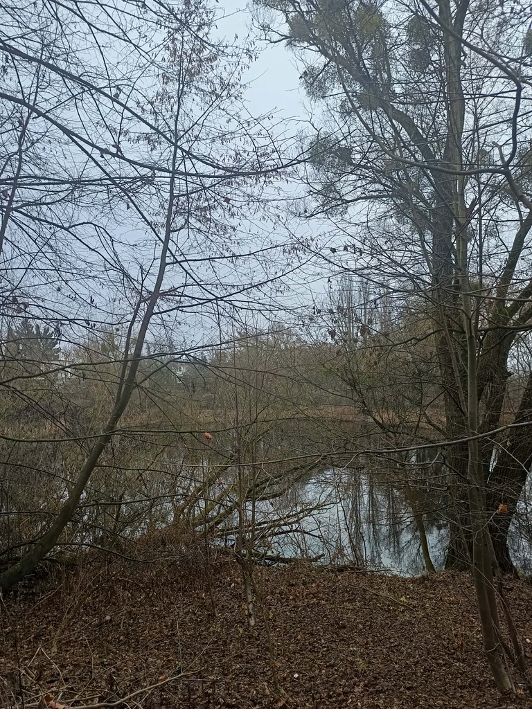 Mieszkanie na wynajem Szczecin, Żelechowa 44 m2 | Arka Nieruchomości