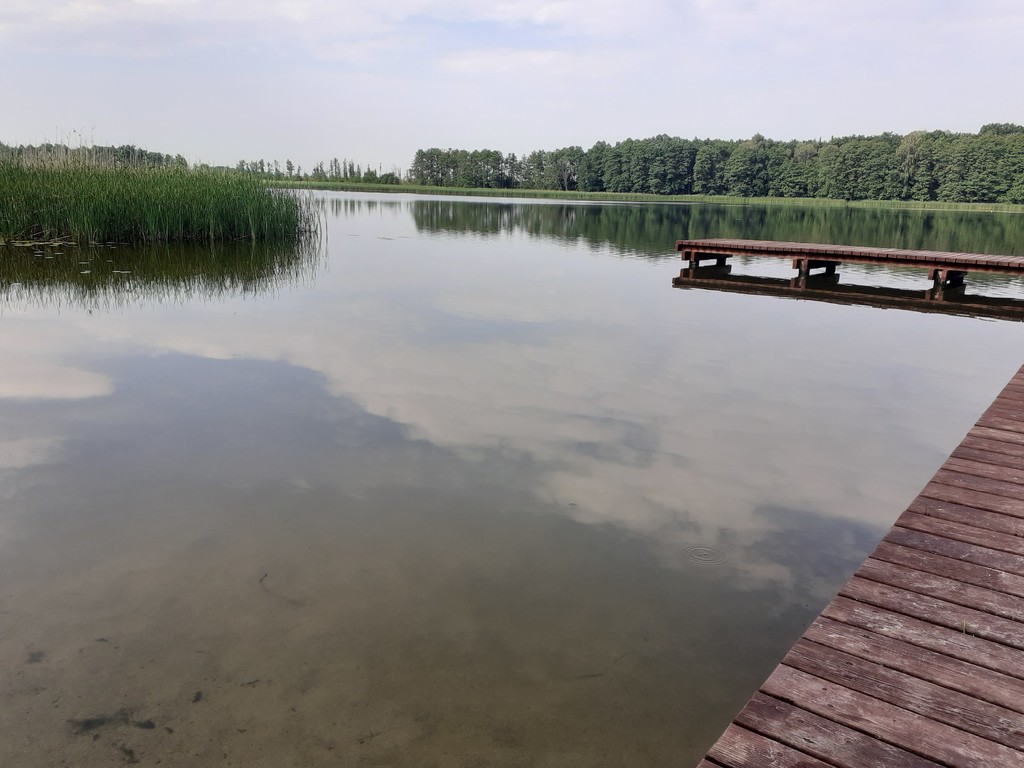 Działka na sprzedaż Sielsko 3 000 m2 | Arka Nieruchomości