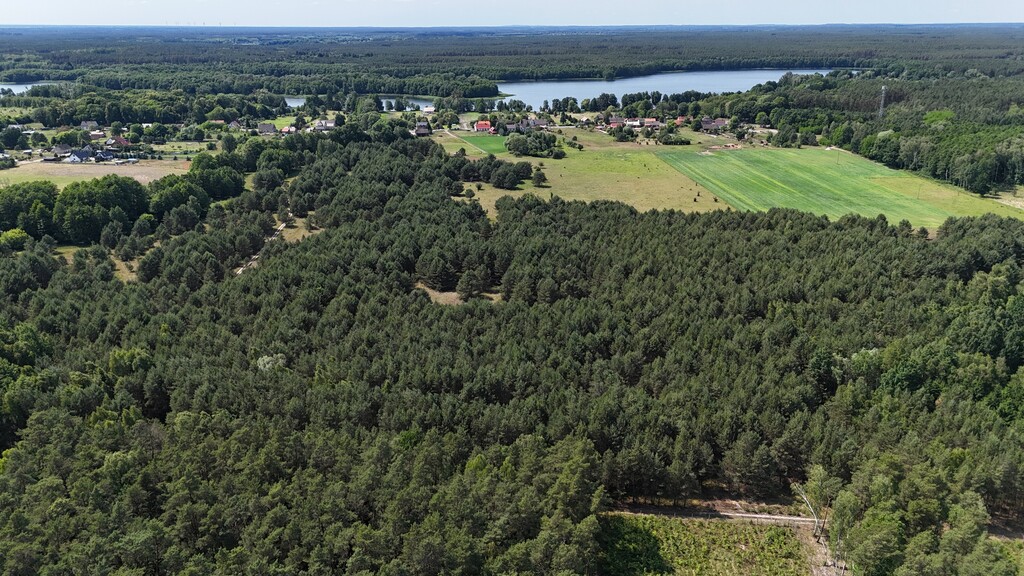 Działka na sprzedaż Ostrowiec 26 m2 | Arka Nieruchomości