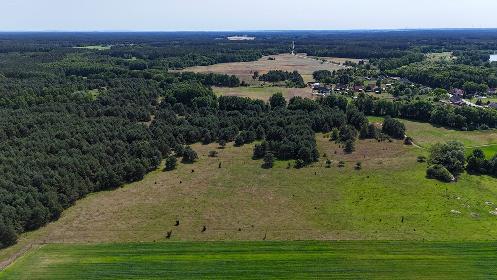 Działka na sprzedaż Ostrowiec 26 m2 | Arka Nieruchomości