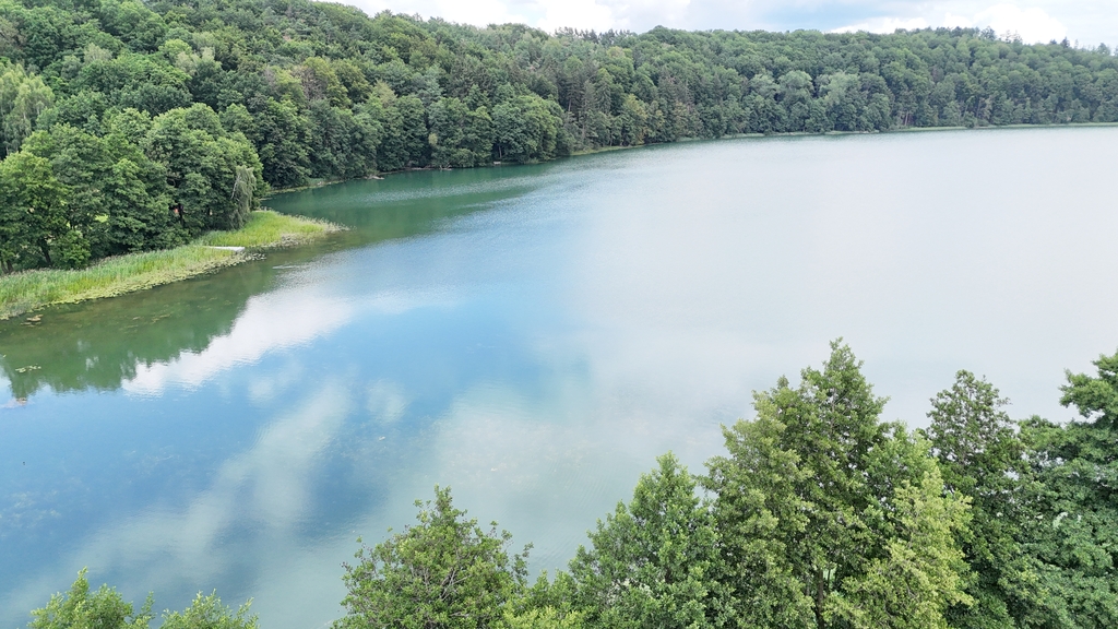 Działka na sprzedaż Sikory 2 933 m2 | Arka Nieruchomości