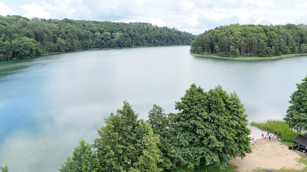 Działka na sprzedaż Sikory 2 933 m2 | Arka Nieruchomości