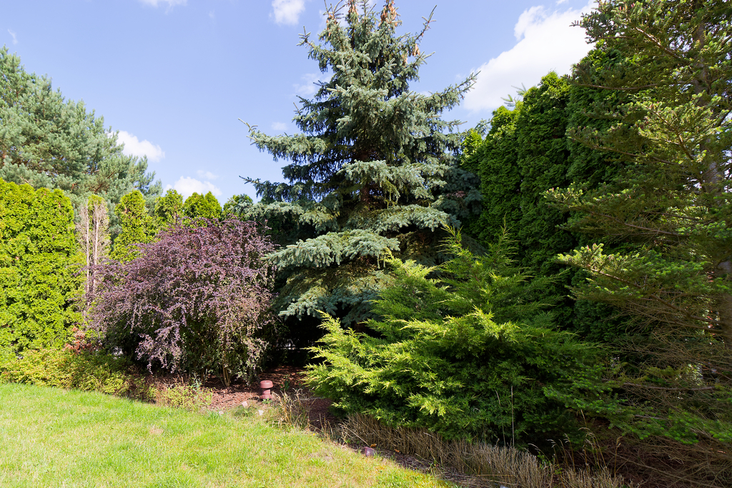 Dom na sprzedaż Kłodawa 154 m2 | Arka Nieruchomości