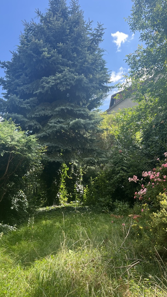 Dom na sprzedaż Szczecin, Gumieńce 220 m2 | Arka Nieruchomości