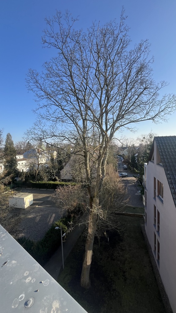 Mieszkanie na wynajem Szczecin, Pogodno 41 m2 | Arka Nieruchomości