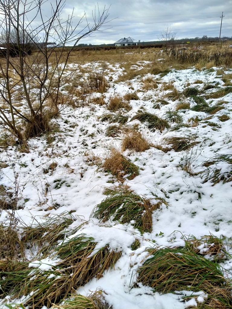 Działka na sprzedaż Kliniska Wielkie 2 241 m2 | Arka Nieruchomości