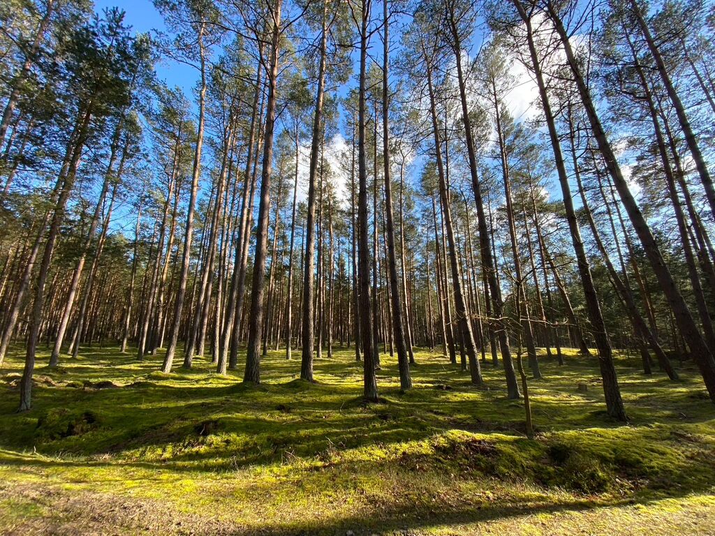 Mieszkanie na sprzedaż Łukęcin 120 m2 | Arka Nieruchomości