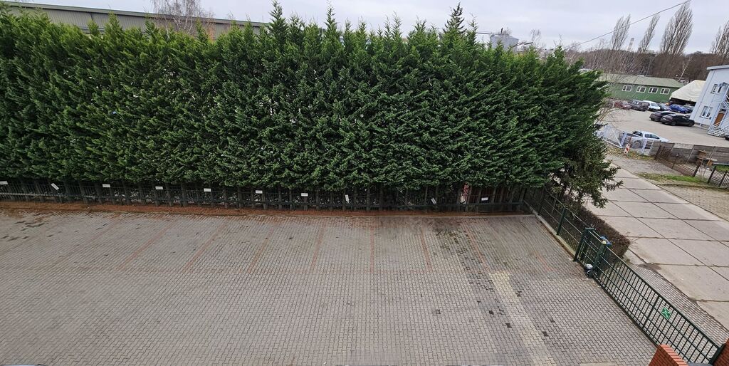 Lokal na wynajem Szczecin, Pomorzany 308 m2 | Arka Nieruchomości