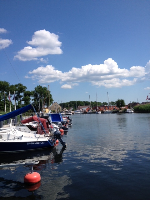 Działka na sprzedaż Lubczyna 1 300 m2 | Arka Nieruchomości