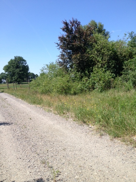 Działka na sprzedaż Lubczyna 1 394 m2 | Arka Nieruchomości