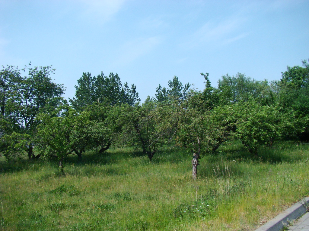 Działka na sprzedaż Nowe Warpno 1 200 m2 | Arka Nieruchomości