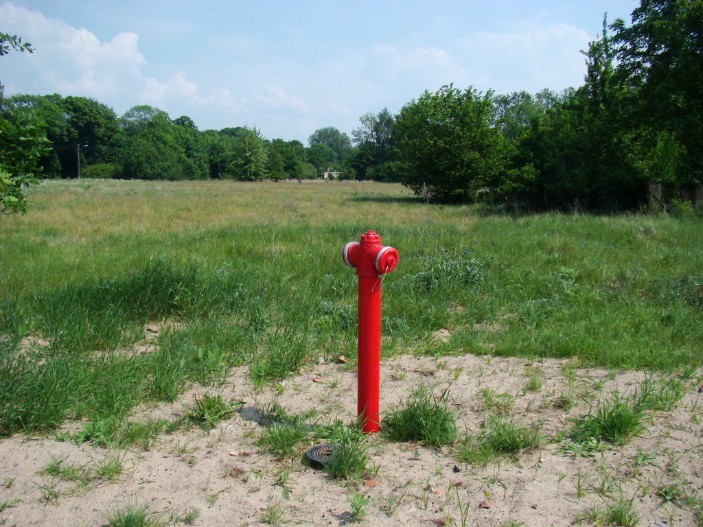 Działka na sprzedaż Nowe Warpno 1 200 m2 | Arka Nieruchomości