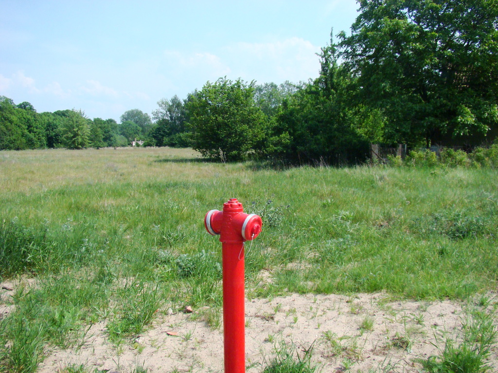 Działka na sprzedaż Nowe Warpno 1 200 m2 | Arka Nieruchomości