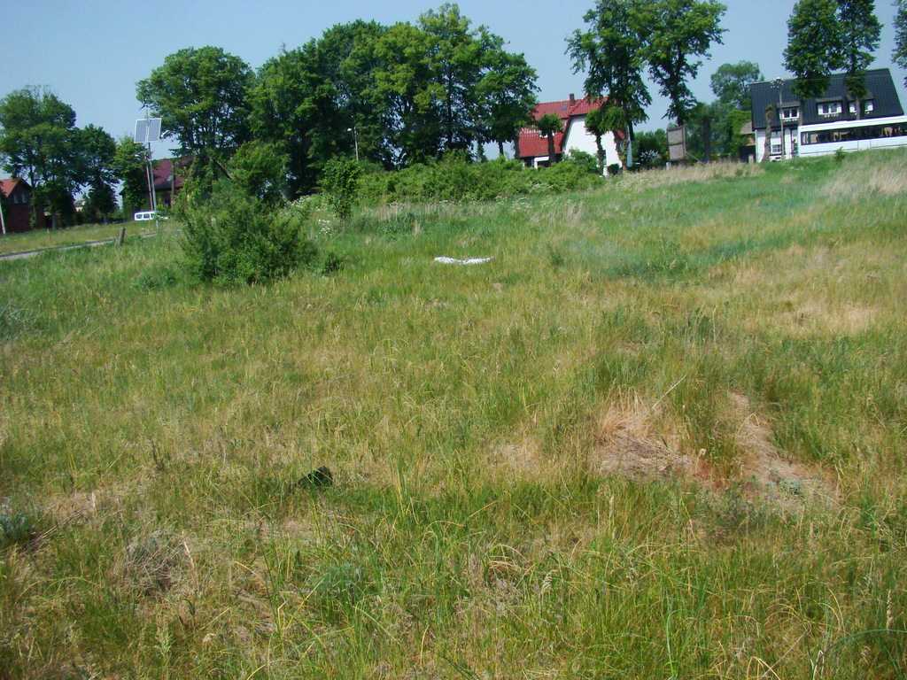 Działka na sprzedaż Nowe Warpno 1 200 m2 | Arka Nieruchomości