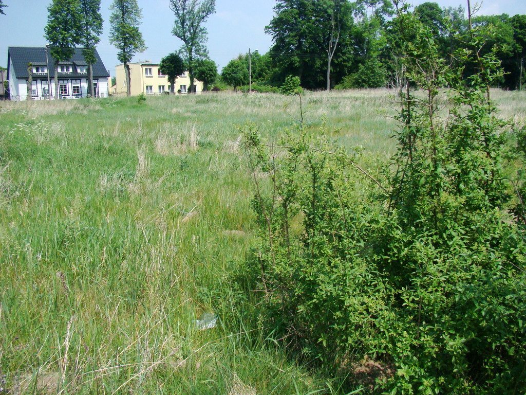 Działka na sprzedaż Nowe Warpno 1 200 m2 | Arka Nieruchomości