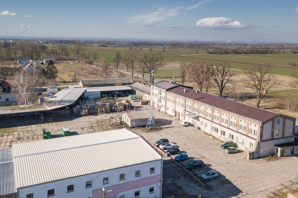 Hala o powierzchni 3000m2 w Cedrach Wielkich