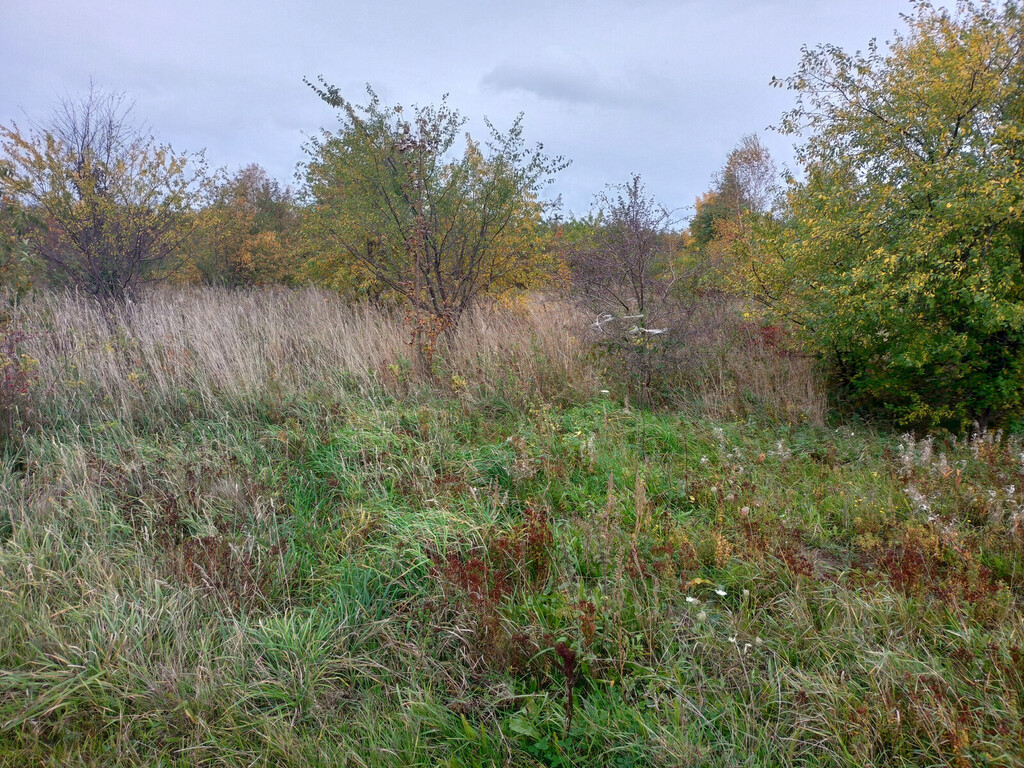 Miejsce na Twój dom lub biznes - 2km od plaży