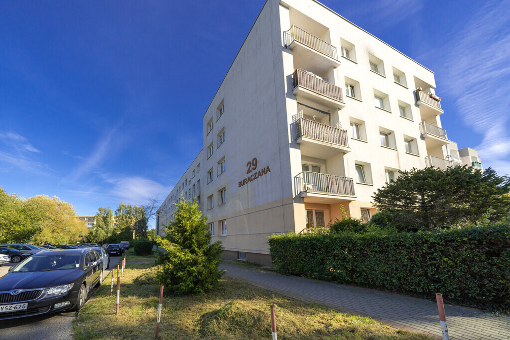 Widok na morze | Zieleń | Idealna lokalizacja