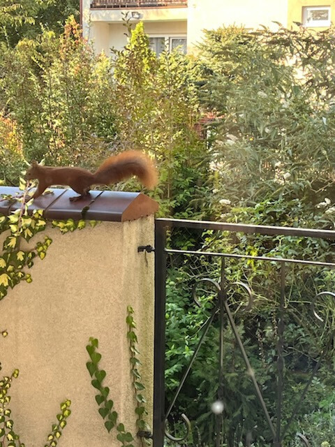 Elegancki Dom w Gdyni: Przestrzeń tuż przy lesie