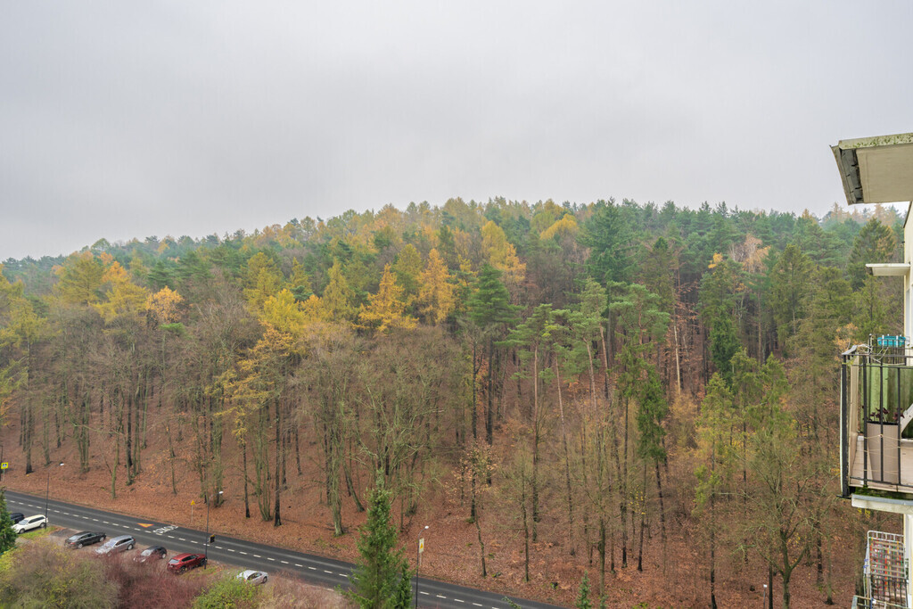 Twoje mieszkanie blisko centrum Sopotu