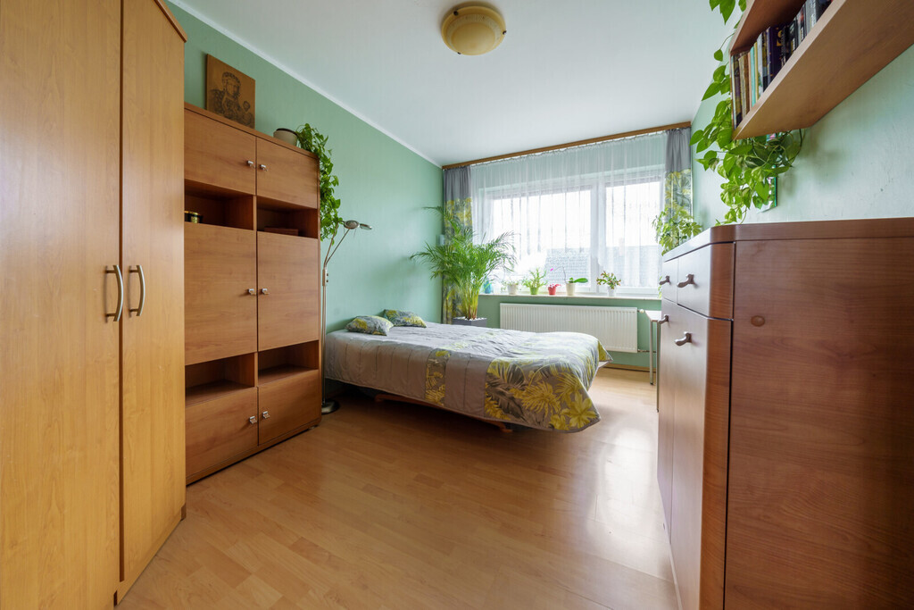 Uroczy bliźniak w Rumii