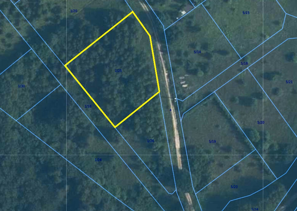 Działka budowlana z samosiejkami i kanalizacją