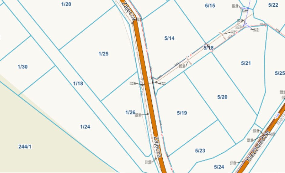 Działka budowlana z samosiejkami i kanalizacją