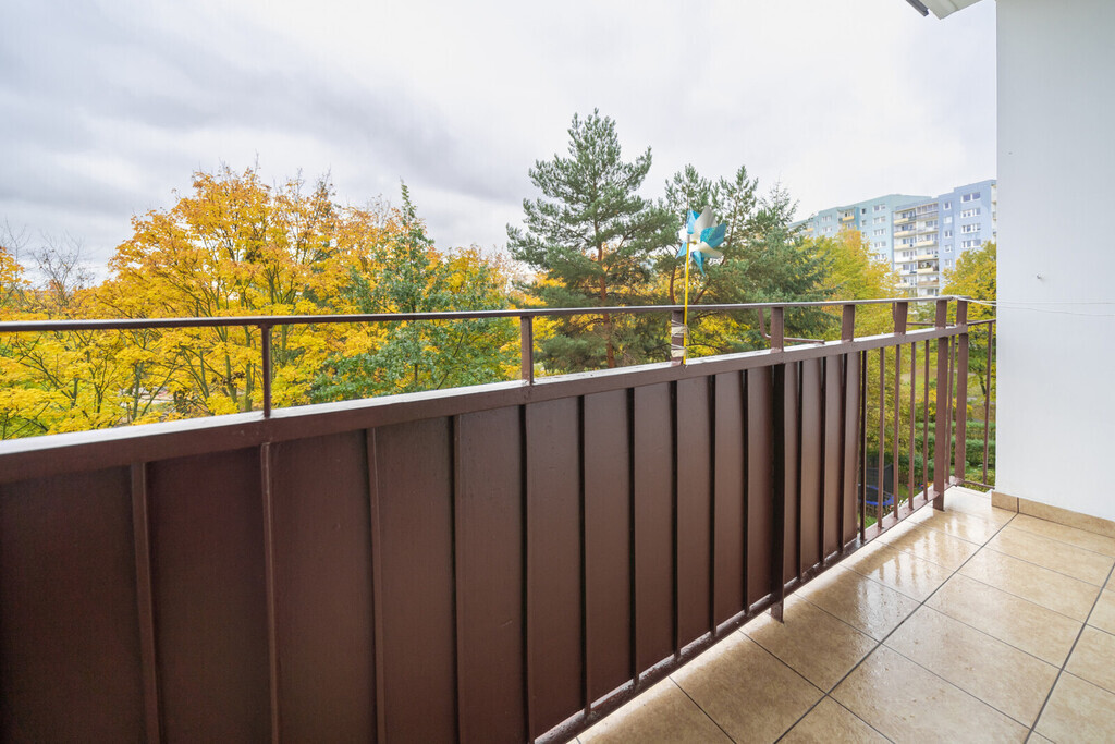 Słoneczne 3-pok. mieszkanie z widokiem na zieleń