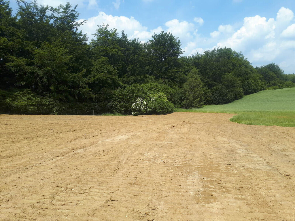 Uzbrojone i wyrównane działki przy ścianie lasu