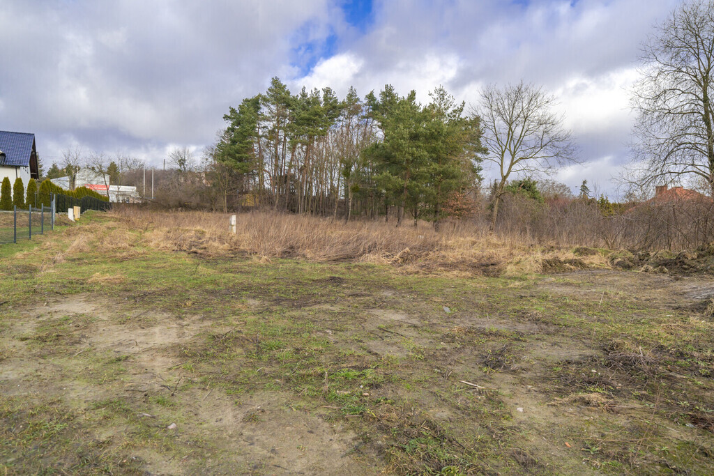 Wybuduj swój wymarzony dom / Kowale