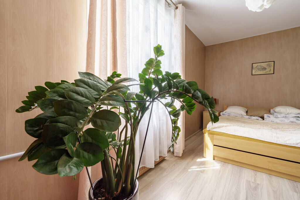 Słoneczne 2 pokoje we Wrzeszczu!