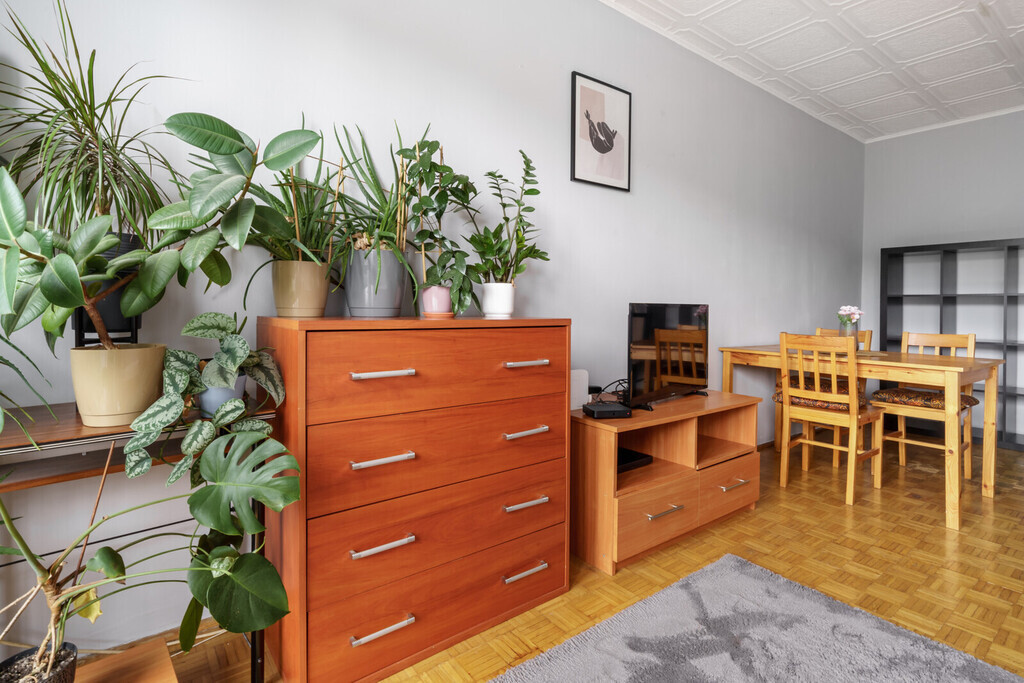 2-pokojowe mieszkanie na Przymorzu