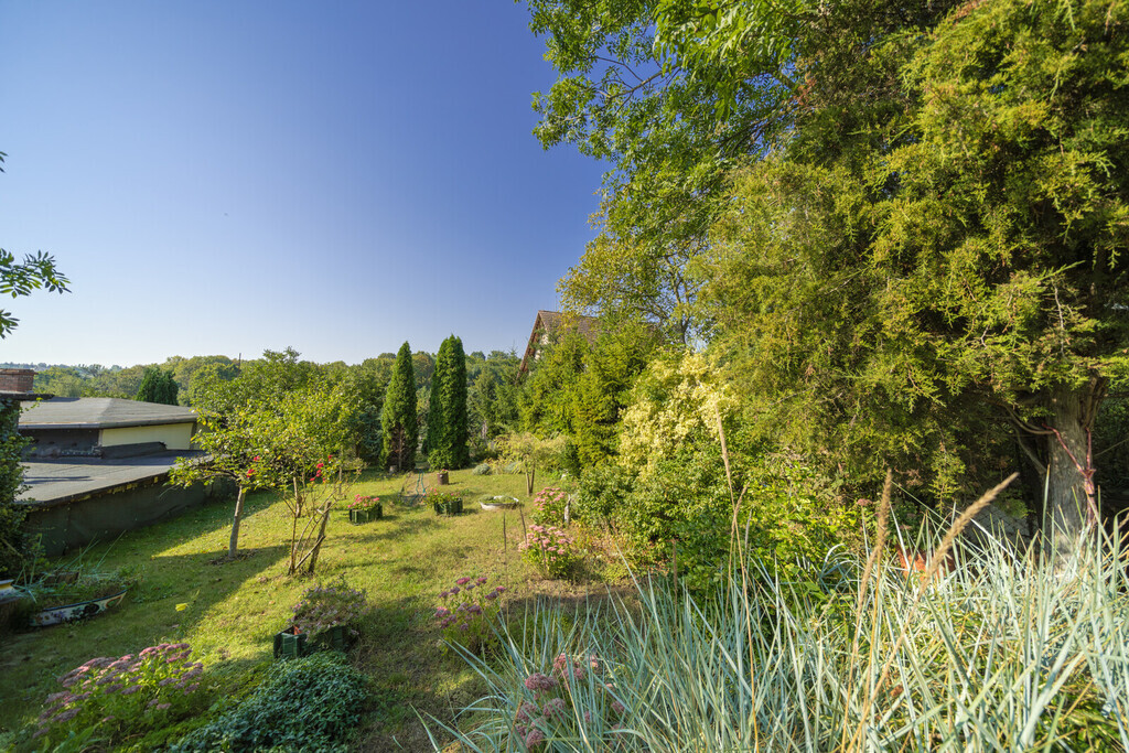 Działka w środku miasta