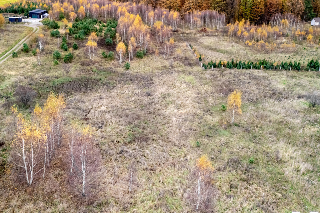 Działka budowlana | możliwość podziału | Borcz