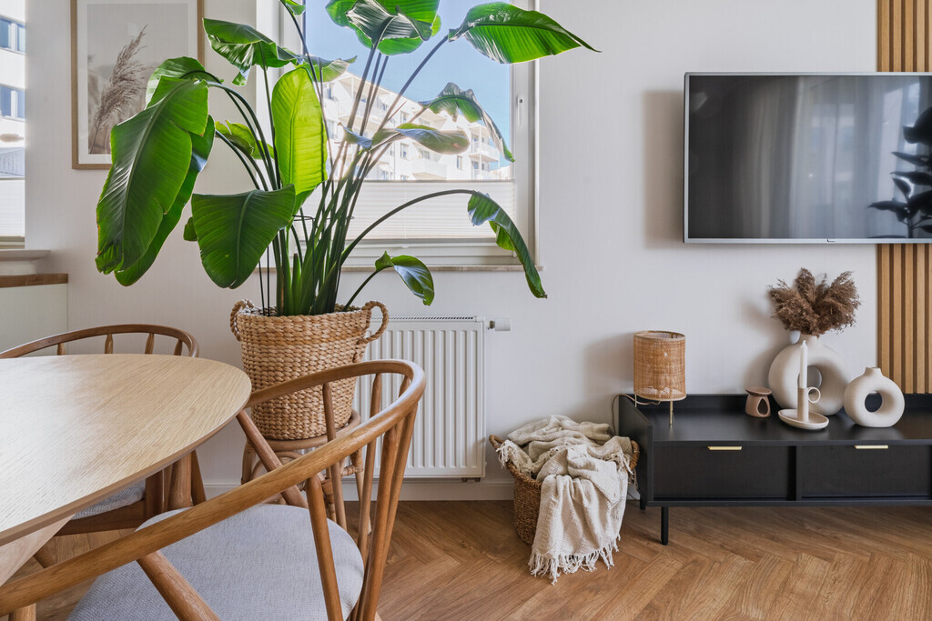 Mieszkanie z dużym ogródkiem - Zielony Południk