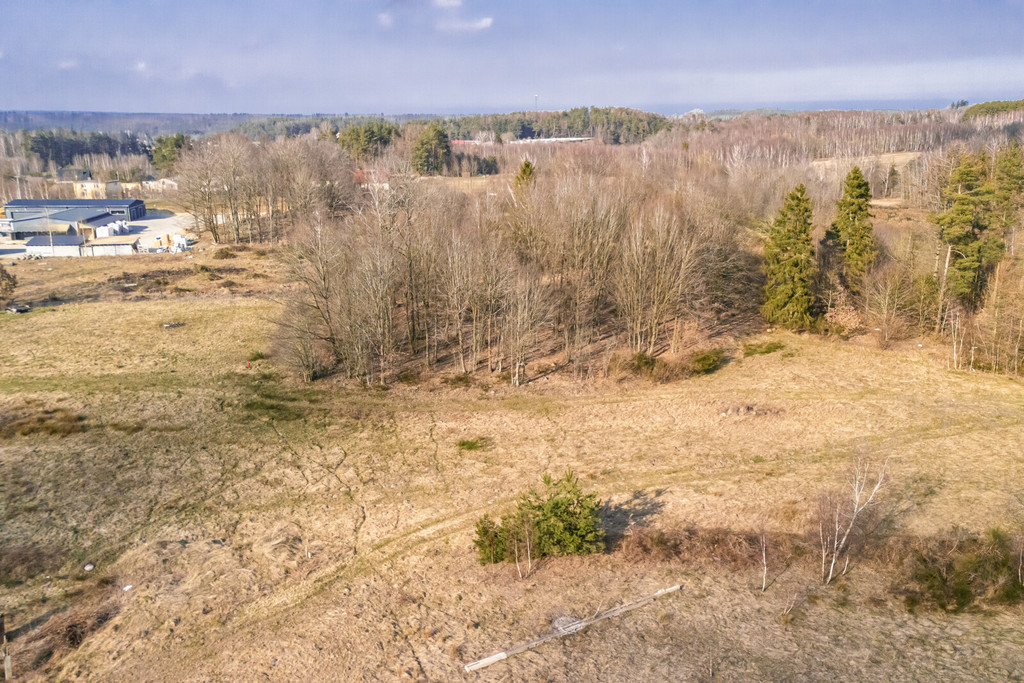 Działka budowlana 1368 m² w otoczeniu lasu