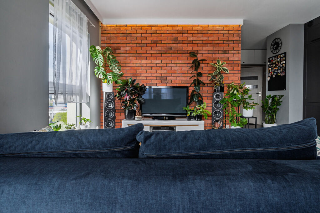 Albatross Towers | top lokalizacja | piękny widok